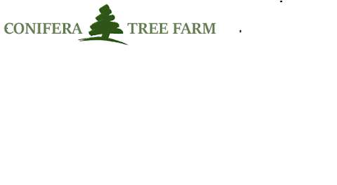 Conifera Tree Farm